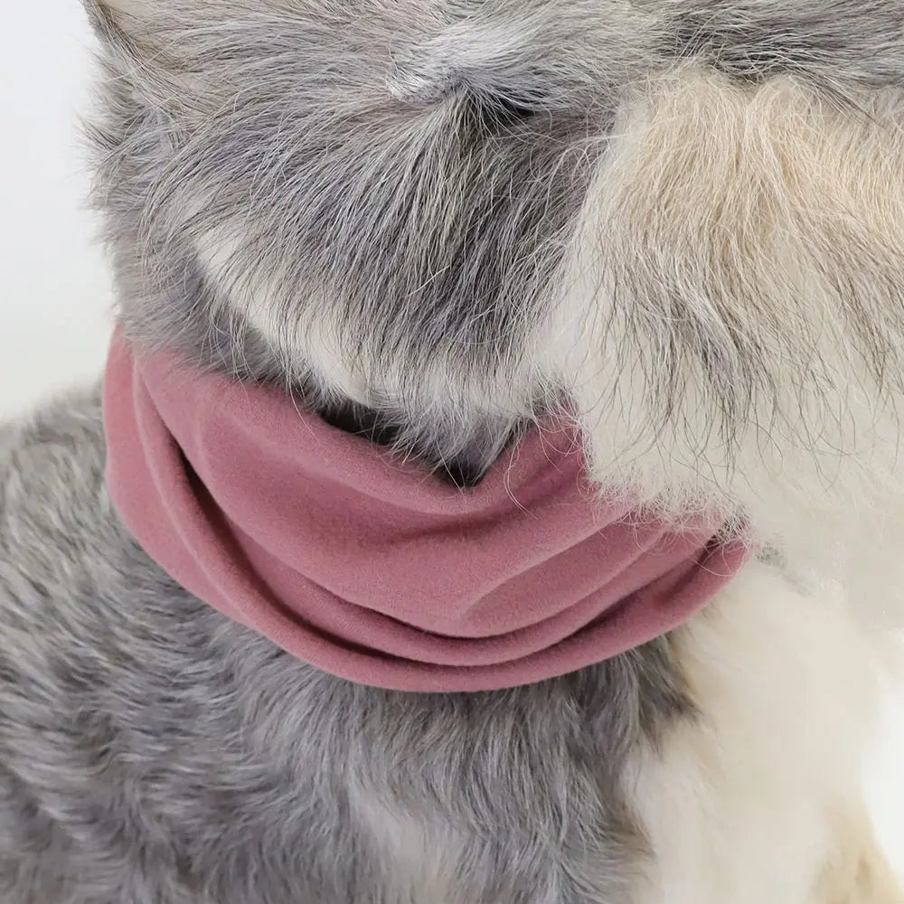 Warm dog ear cover for outdoor walks