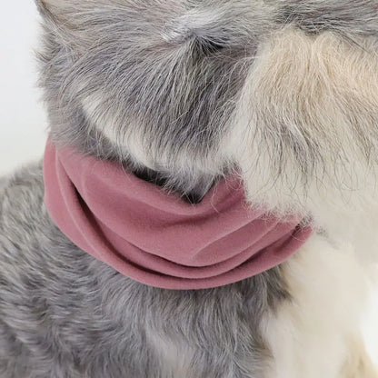 Warm dog ear cover for outdoor walks