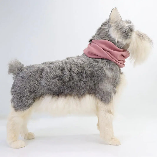 

Dog wearing windproof winter earmuff headgear