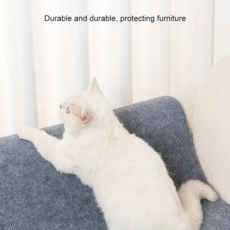 

Scratch-proof wall and door protector for cats