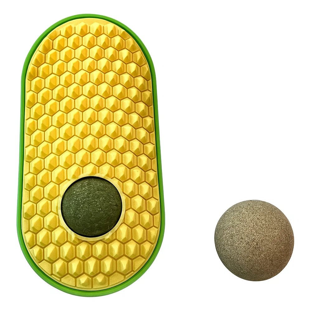 Cat Groomer and Massager Combo

