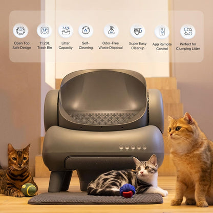 

Large-capacity automatic litter box for multi-cat homes