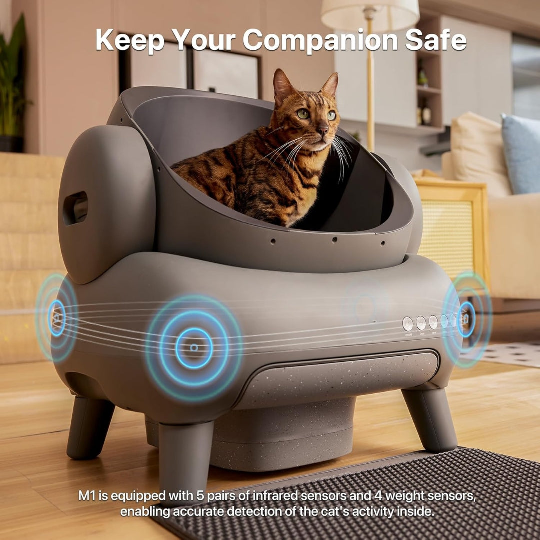 

Low-noise cat litter box with odor elimination