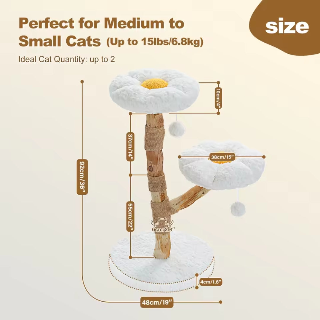 

Durable solid wood cat climbing tower