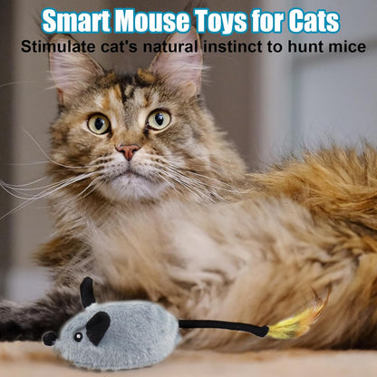 

USB rechargeable moving mouse toy for active p