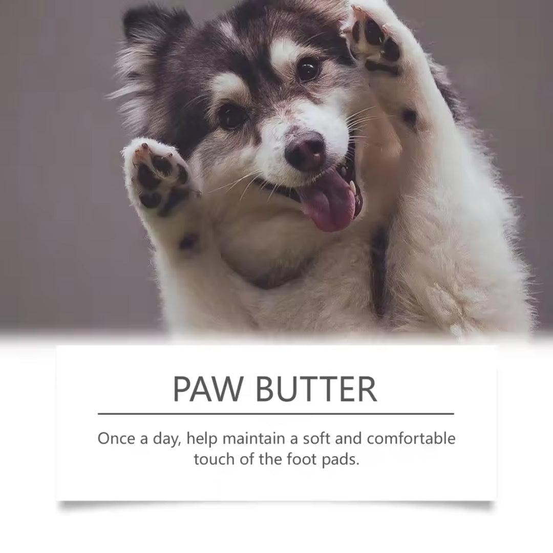

30 g paw moisturizer for dry and cracked pads