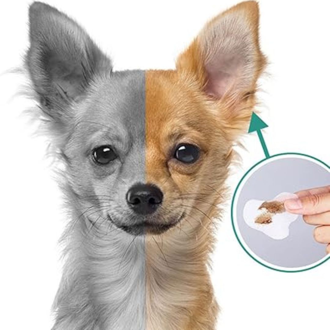 dog eye wipes