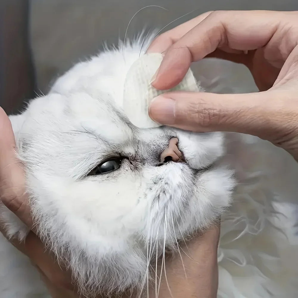 cat eye wipes