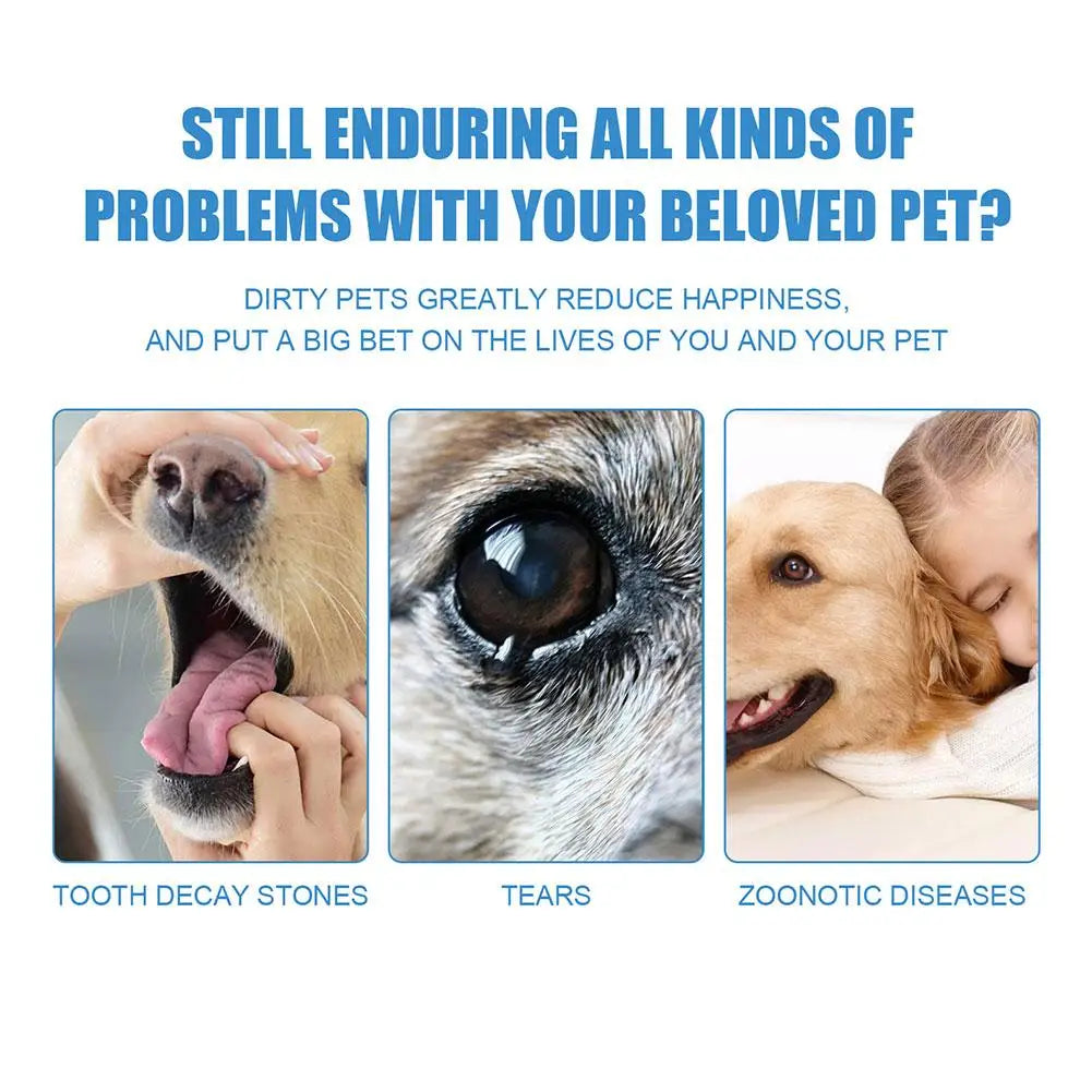 dog teeth cleaning