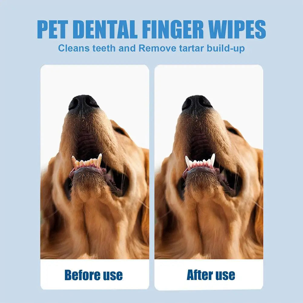 puppy oral care