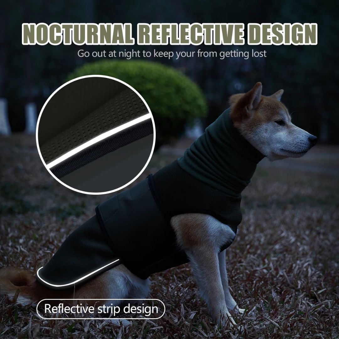 Vet Recommended Dog Vest