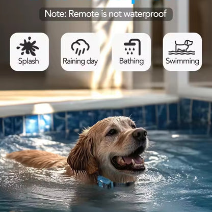 

Blue adjustable dog training collar for outdoor use