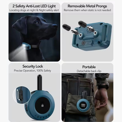 

Dual-channel remote training system for two dogs