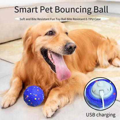 smart dog ball