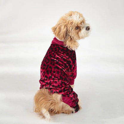 

Stylish leopard print outfit for small dogs