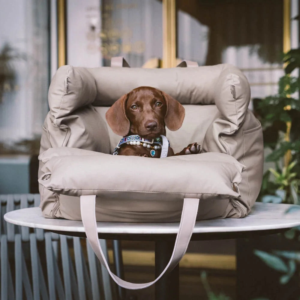 

Portable pet seat with side storage pockets