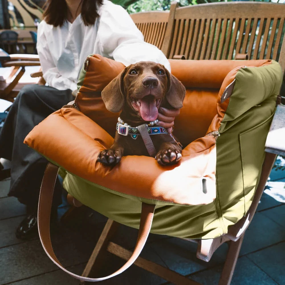 

Portable booster bed for pets with safety leash