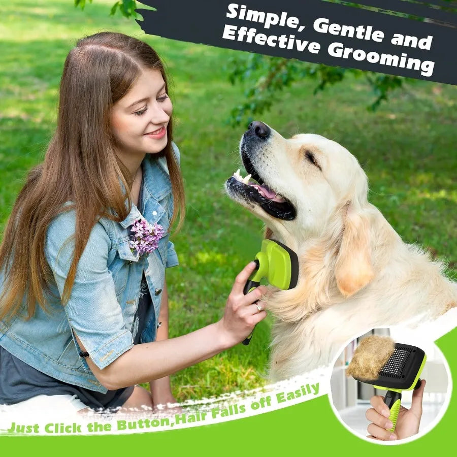 dog grooming tools set