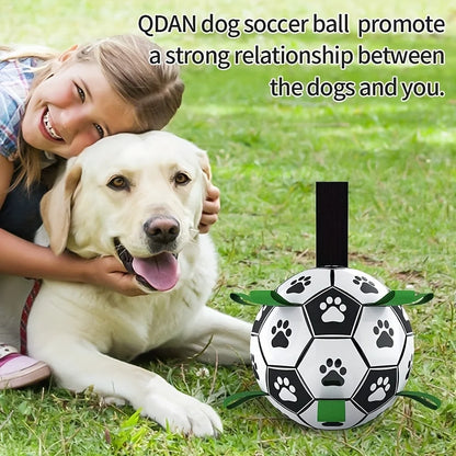 

Dog owner throwing interactive soccer ball outdoors