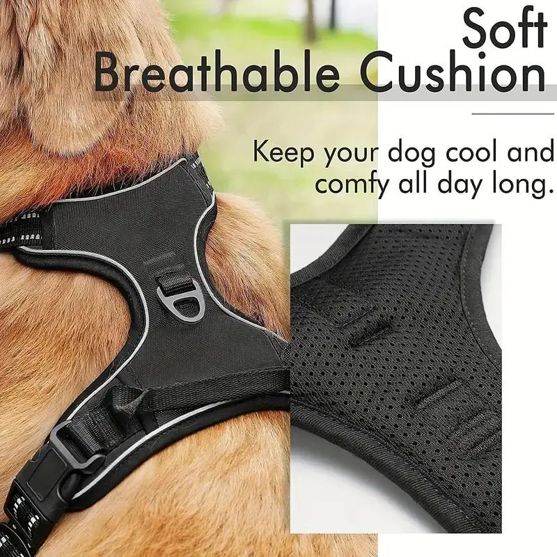 Large dog harness

