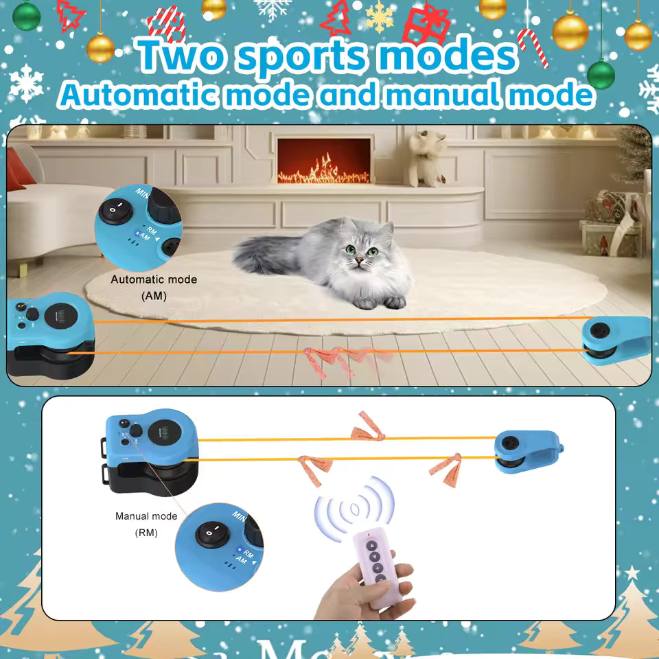 

Cat chasing smart interactive wheel indoors