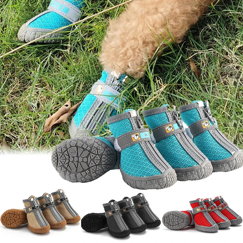 Dog paw protection