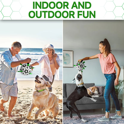 

Puppy training with durable Damaly soccer ball