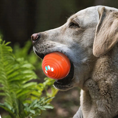 automatic interactive dog ball