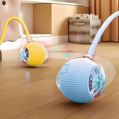 Smart USB Interactive Pet Ball

