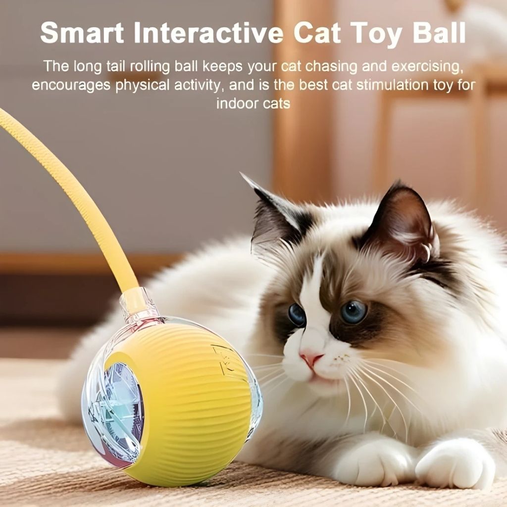 Interactive USB Ball for Dogs and Cats

