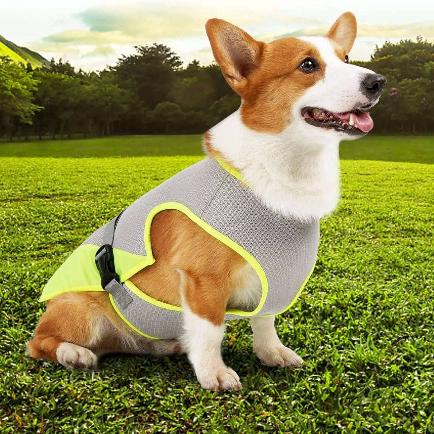 dog cooling vest

