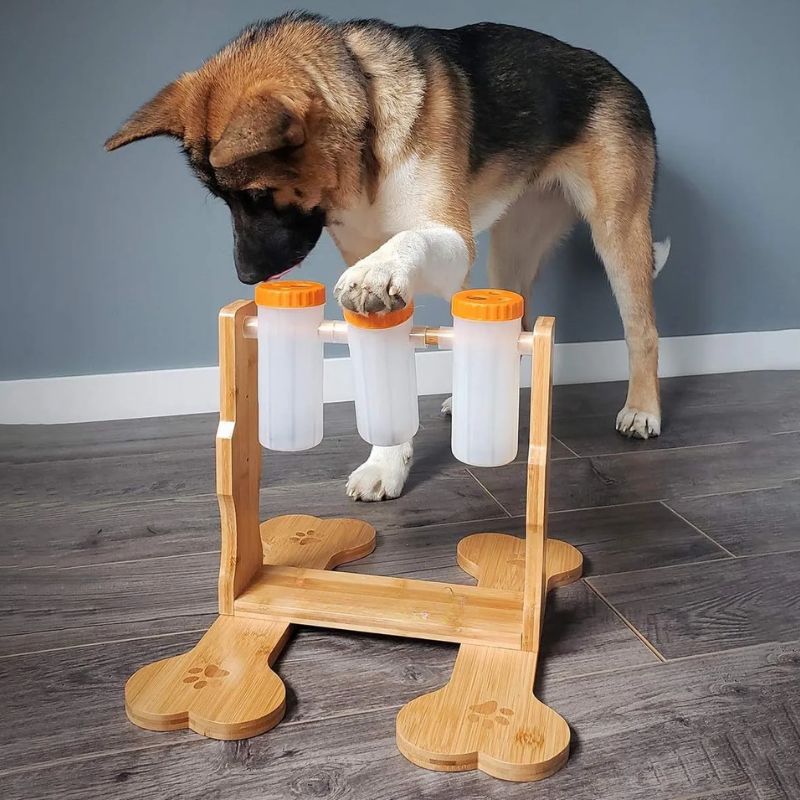 Mental Stimulation for Dogs