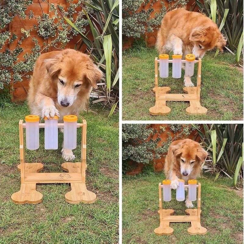 Dog Treat Dispenser
