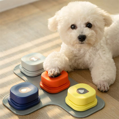 Easy-to-use recordable button toy for cats