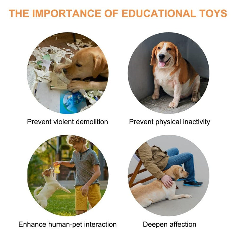 

Four-color pet communication buttons with mats