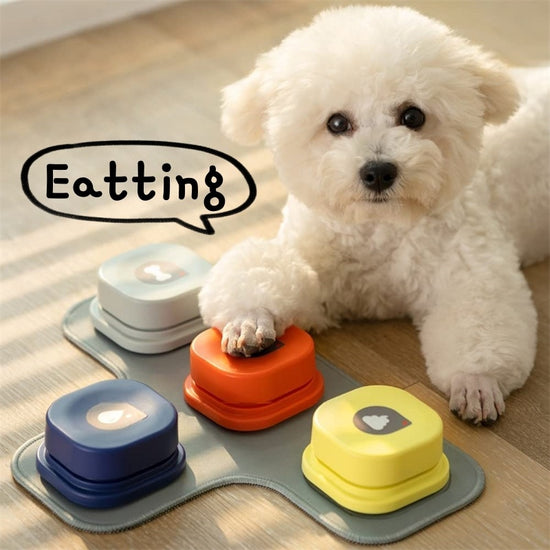 

Dog pressing talking training button toy