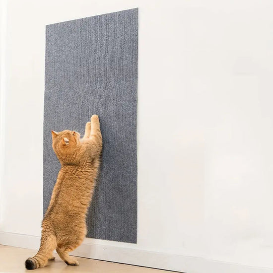 

Grey non-woven cat scratching board on sofa